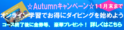 Autumunキャンペーン